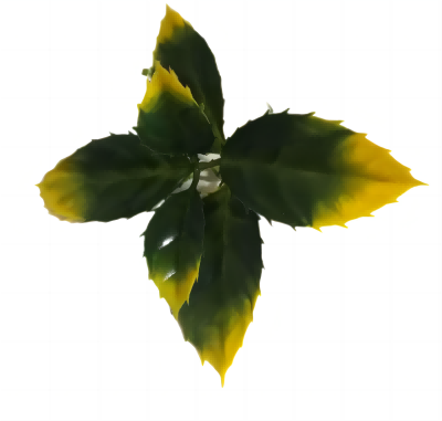 Double color plastic artificial flower and tree