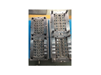 Haichen injection molds