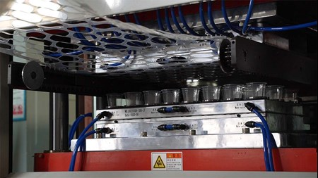Plastic Cup Thermoforming